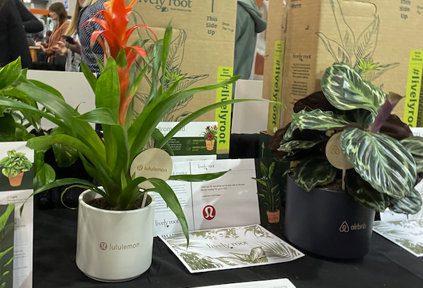 Branded Living Plants