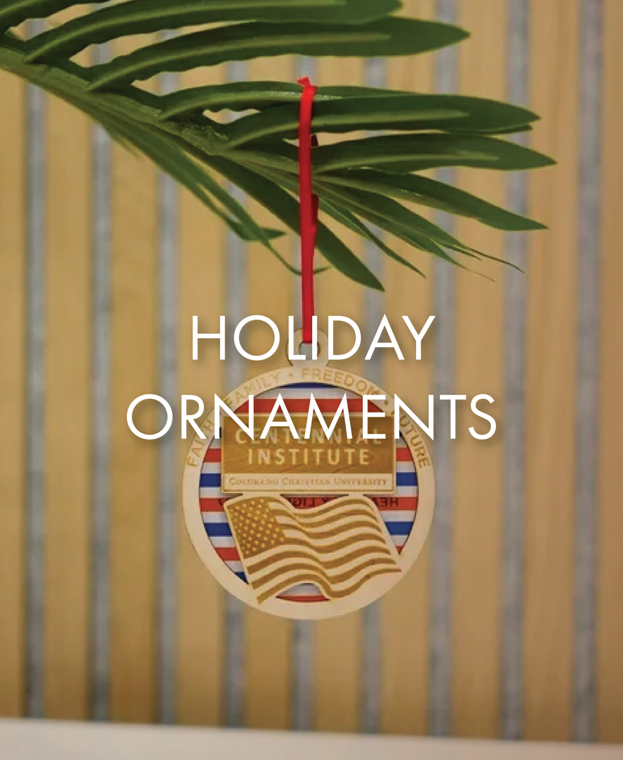 TrendShopsTBT_Holiday Ornaments